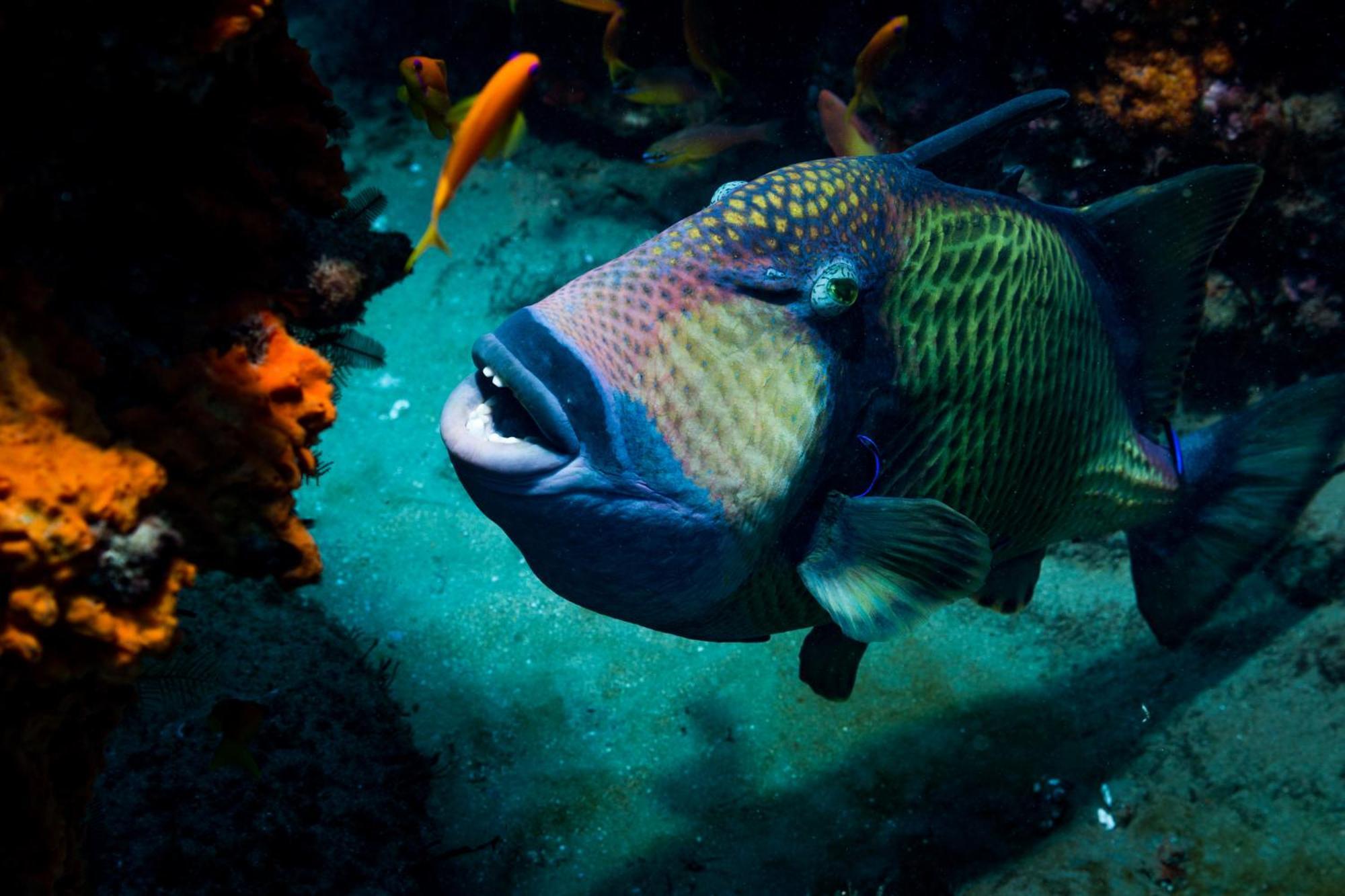 Sodwana Bay Lodge Dive & Fishing Resort Exteriér fotografie