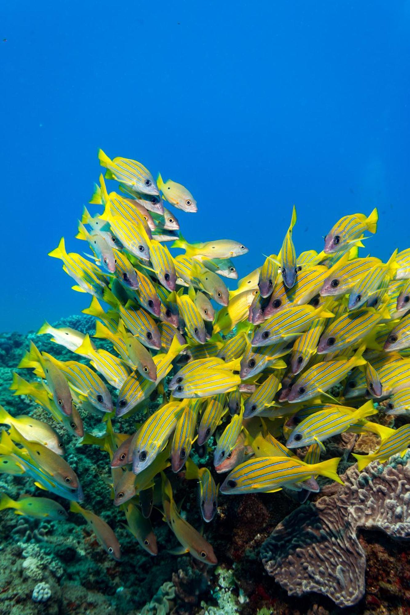 Sodwana Bay Lodge Dive & Fishing Resort Exteriér fotografie