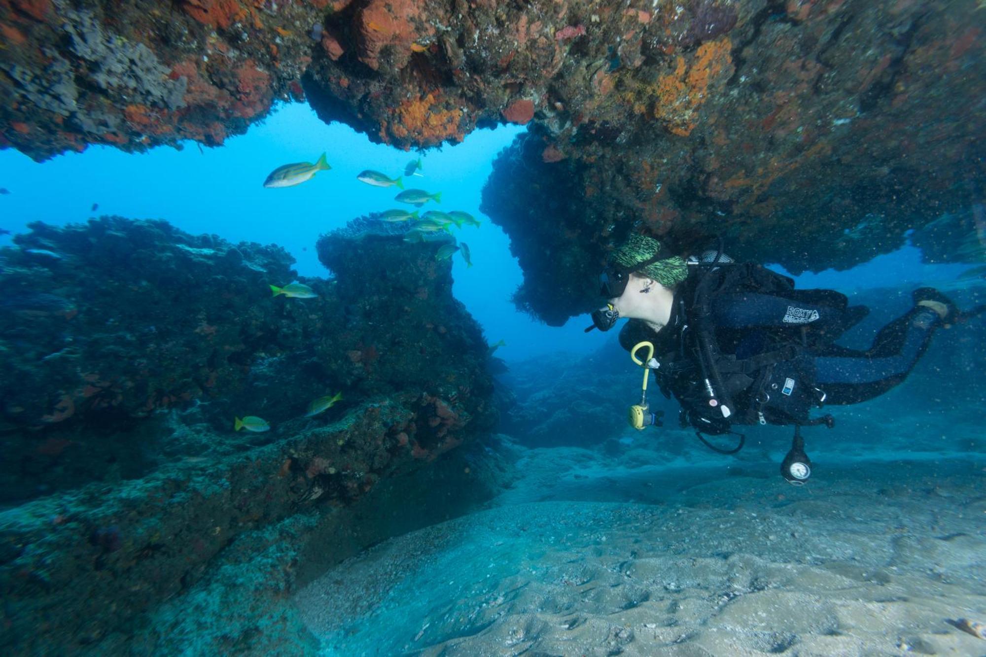 Sodwana Bay Lodge Dive & Fishing Resort Exteriér fotografie